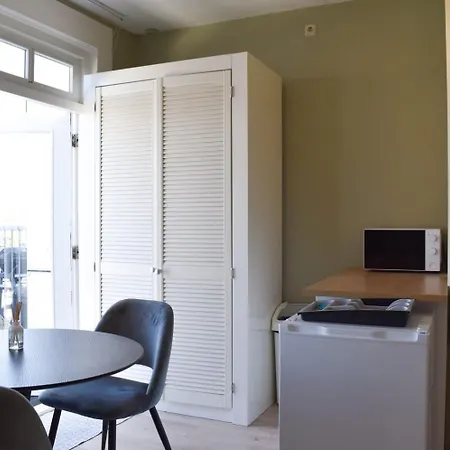 度假居 New Roof Terrace In Jordaan Area